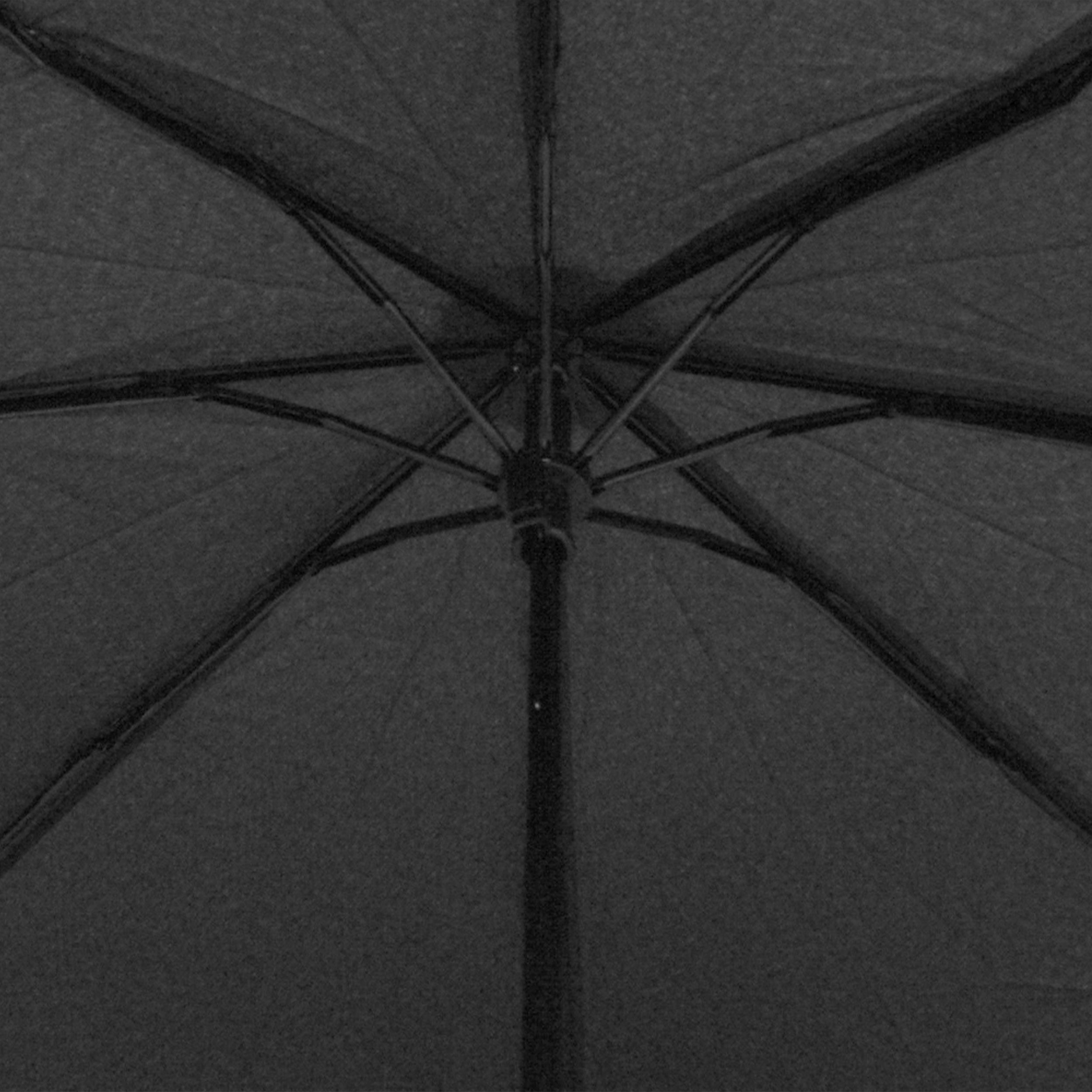 Mini Umbrella